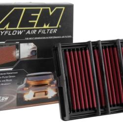 AEM Induction 28-20054