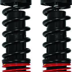 BURLY BRAND B281206B