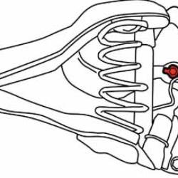 SPC PERFORMANCE 81310