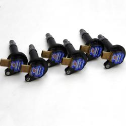 GMS Wire Connection Kits Granatelli Motor Sports 26-0646CP