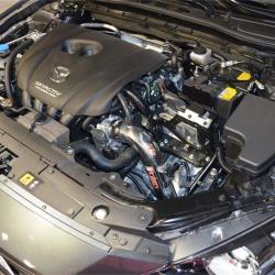 Injen SP6065P