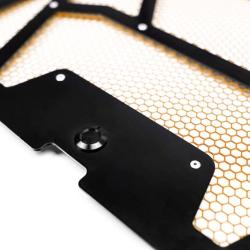 Agency Power AP-RZR-111-FGB-MOR