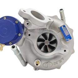 FORCED PERFORMANCE 2025290