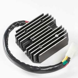 RICKS MOTORSPORT ELECTRICS 10311