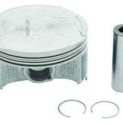 VERTEX PISTONS 24485050