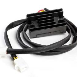 RICKS MOTORSPORT ELECTRICS 10154