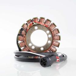 RICKS MOTORSPORT ELECTRICS 21216