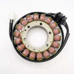 RICKS MOTORSPORT ELECTRICS 21718