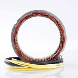 RICKS MOTORSPORT ELECTRICS 21100