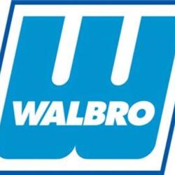 Walbro F10000376