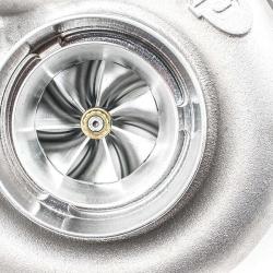 FORCED PERFORMANCE 2005004