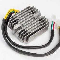 RICKS MOTORSPORT ELECTRICS 10155