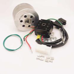 RICKS MOTORSPORT ELECTRICS 1499111