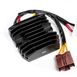 RICKS MOTORSPORT ELECTRICS 10002H