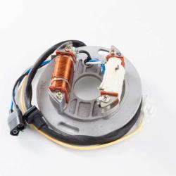 RICKS MOTORSPORT ELECTRICS 21705H