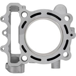 CYLINDER WORKS CW40005