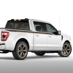 FORD RACING M1007KS2295SB