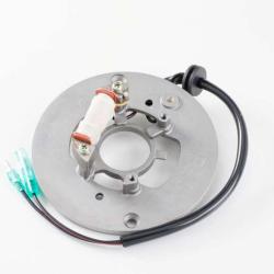 RICKS MOTORSPORT ELECTRICS 21906