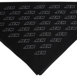 AEM Induction 01-1501