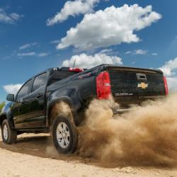 Bushwacker 40985-02