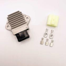 RICKS MOTORSPORT ELECTRICS 14106H