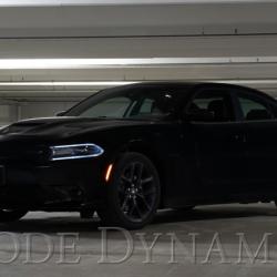 Diode Dynamics DD5111