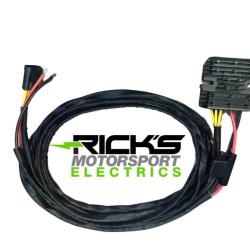 RICKS MOTORSPORT ELECTRICS 10582H