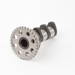 HDS Misc Powersports Hot Cams 4089-2IN