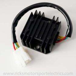 RICKS MOTORSPORT ELECTRICS 10169