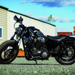 Kuryakyn 1229