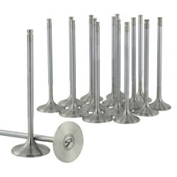 SKUNK2 RACING 310051400