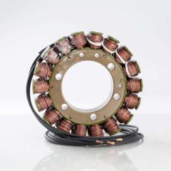 RICKS MOTORSPORT ELECTRICS 21141