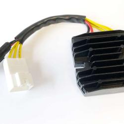 RICKS MOTORSPORT ELECTRICS 14211H