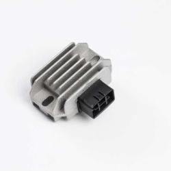 RICKS MOTORSPORT ELECTRICS 10248