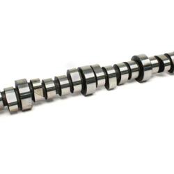 COMP Cams 111-310-10