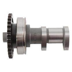 Hot Cams 2040-1E