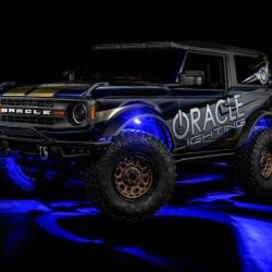 ORACLE LIGHTING 5895339