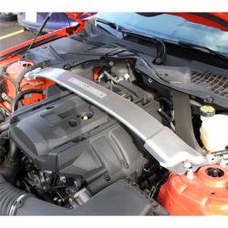 FORD RACING M20201GT350