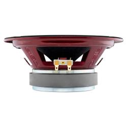DS18 PRO-X8.4RGBCAP