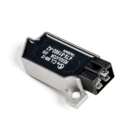 RICKS MOTORSPORT ELECTRICS 10417