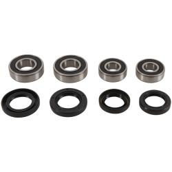 PIV Wheel Bearing Kit Pivot Works PWFWK-Y13-600
