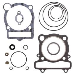 VERTEX PISTONS 810898