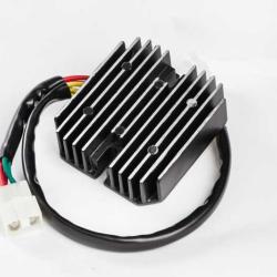 RICKS MOTORSPORT ELECTRICS 10123