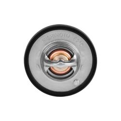 MISHIMOTO MMTSJGC99L