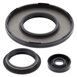 VERTEX PISTONS 55229