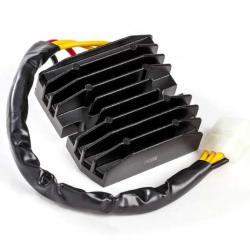 RICKS MOTORSPORT ELECTRICS 10213H