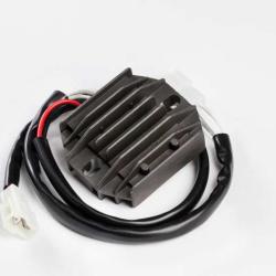 RICKS MOTORSPORT ELECTRICS 10228