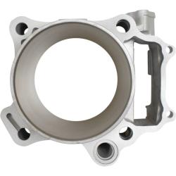 CYLINDER WORKS 110091