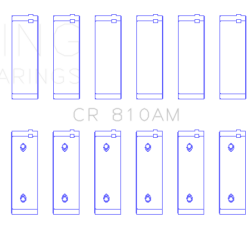 KING ENGINE BEARINGS CR810AM