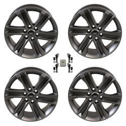 FORD RACING M1007KS2085F15A